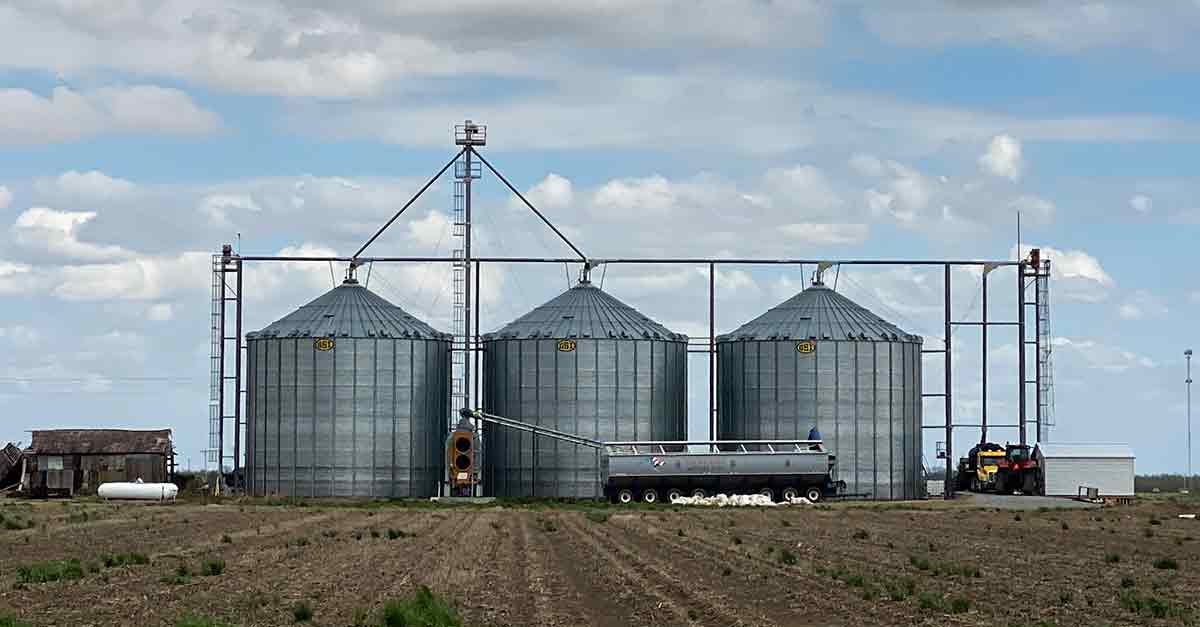 Where can I find a used Mother Bin for sale? Walkabout Mother Bin