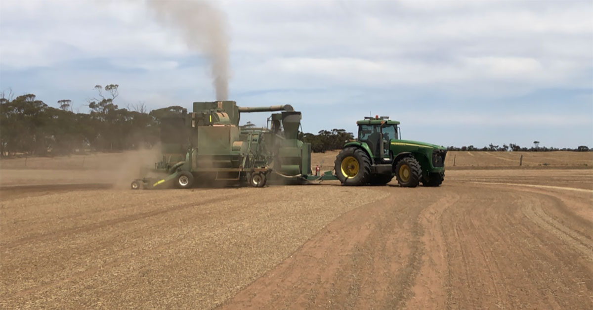 2021 a Clean field after pods have been vacuumed up.