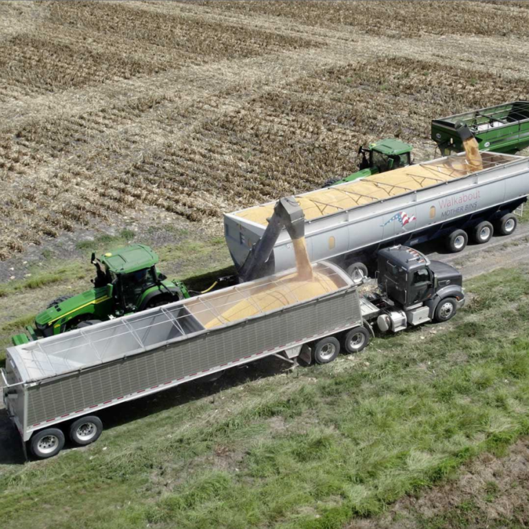 s2 (3) Walkabout Mother Bins