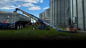 A Walkabout® MOTHER BIN Eastern Grey helping to empty grain bins.